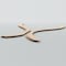 Ekena Millwork 31 16W x 46 34H x 14T Small Villarreal Decorative Fretwork Wood Ceiling Panels, Red Oak CELW31X47X0250VILRO - alternate 4